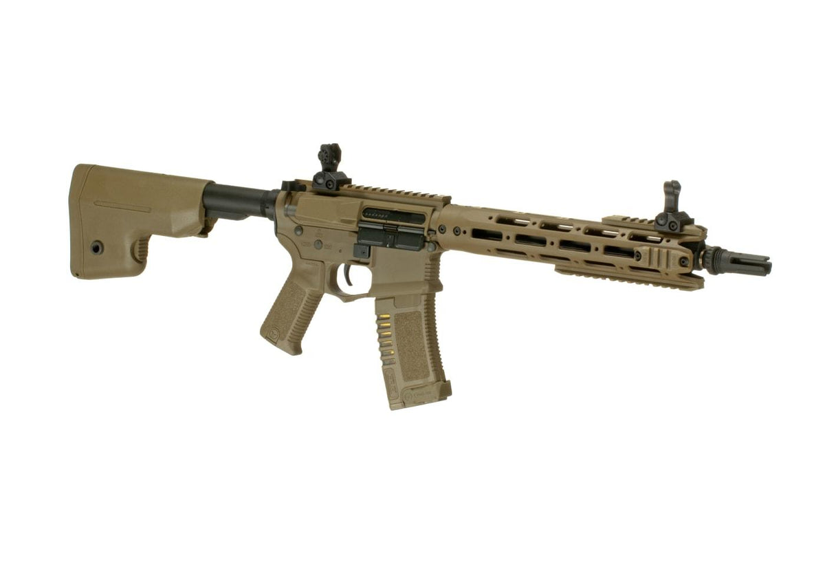 AM-009 EFCS