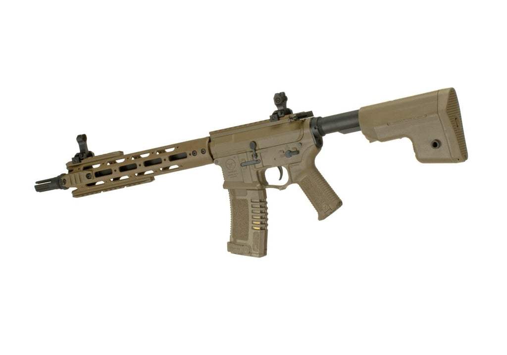 AM-009 EFCS