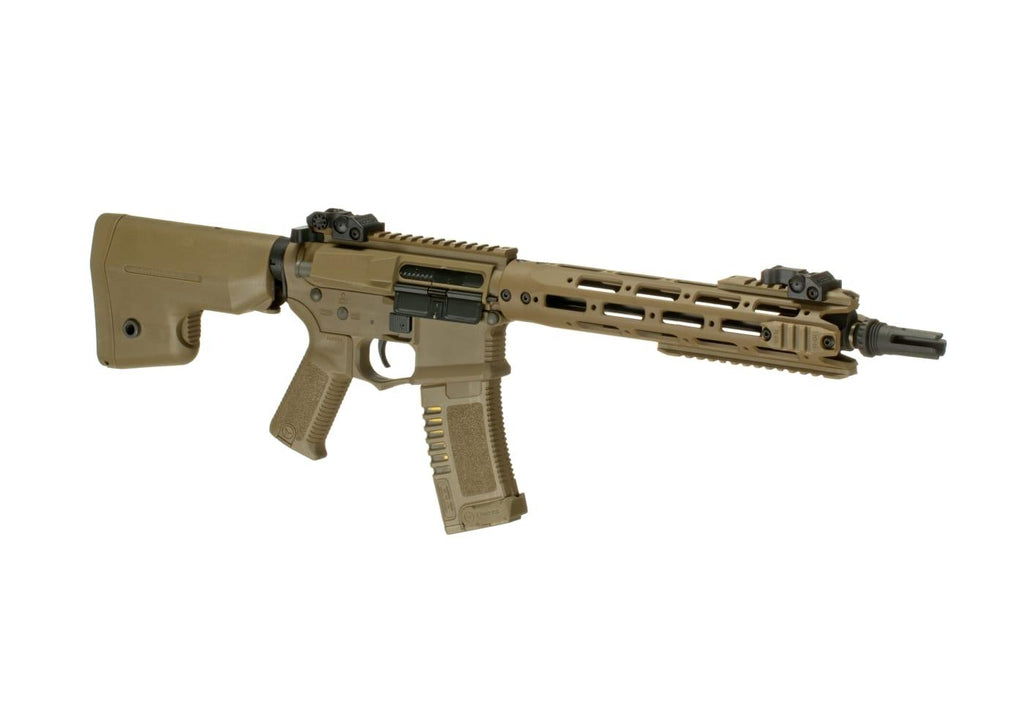 AM-009 EFCS