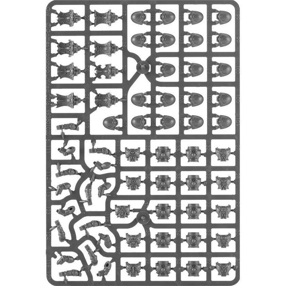 Rubric Marines