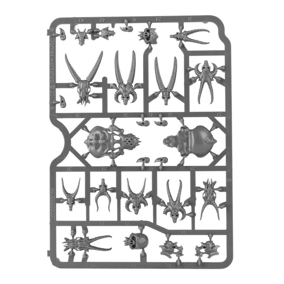 Citadel Skulls