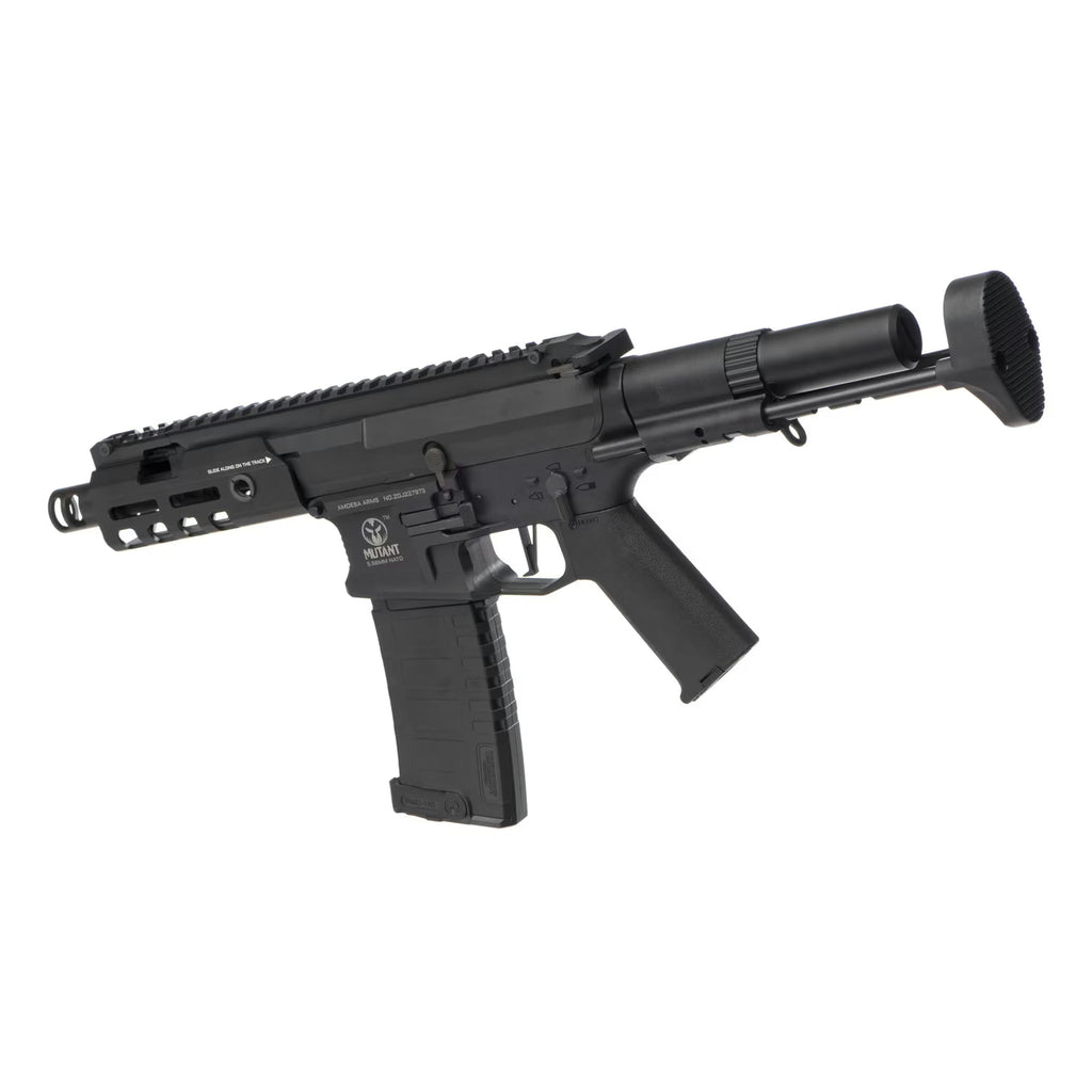 AMM5 Mutant EFCS