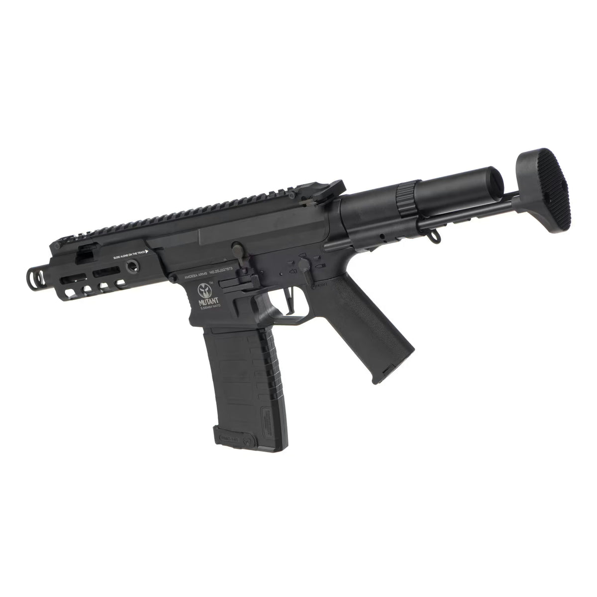 AMM5 Mutant EFCS